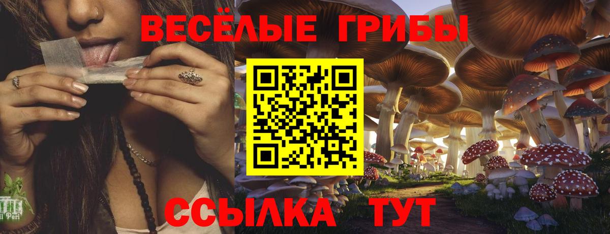 Галлюциногенные грибы MAGIC MUSHROOMS Самара