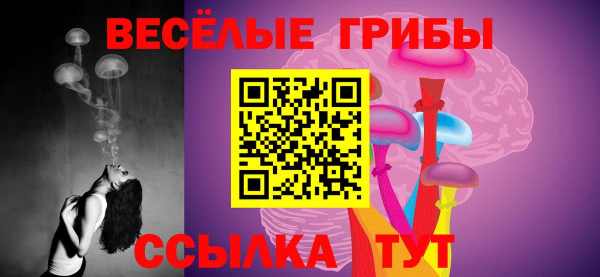 Галлюциногенные грибы прущие грибы  Галлюциногенные грибы Psilocybe  Вход с VPN  Самара 