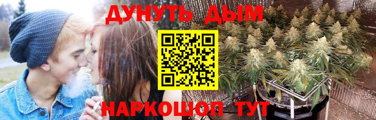 Канабис индика  Марихуана план  Вход с VPN  Бошки марихуана марихуана  Самара 